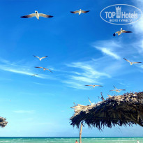 фото из отзыва ID 2166294