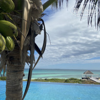 фото из отзыва ID 2166294