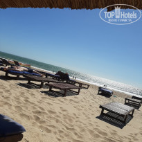 фото из отзыва ID 2166479