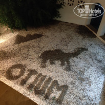 фото из отзыва ID 2166607