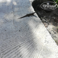 фото из отзыва ID 2166165