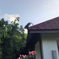 фото из отзыва ID 2166165