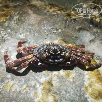 фото из отзыва ID 2166165