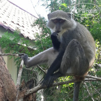 фото из отзыва ID 2166165