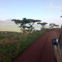 фото из отзыва ID 2166165