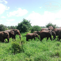 фото из отзыва ID 2166165