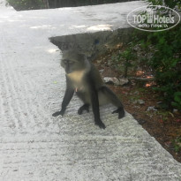 фото из отзыва ID 2166165