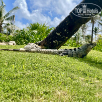фото из отзыва ID 2166679