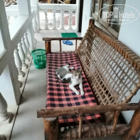 фото из отзыва ID 2166779