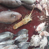 фото из отзыва ID 2166793