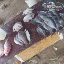 фото из отзыва ID 2166793