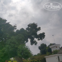 фото из отзыва ID 2166793