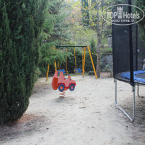 фото из отзыва ID 2166977