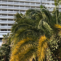 фото из отзыва ID 2166997