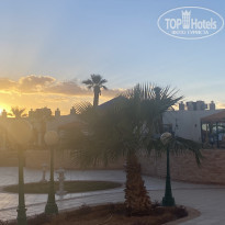 фото из отзыва ID 2167054