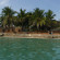 Sarabi Zanzibar