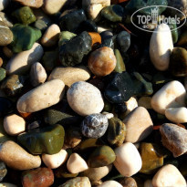 фото из отзыва ID 2167228