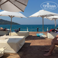 фото из отзыва ID 2167249