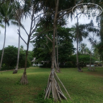 фото из отзыва ID 2167326