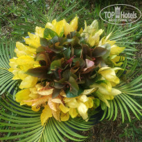 фото из отзыва ID 2167326