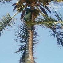 фото из отзыва ID 2167326