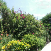 фото из отзыва ID 2167326