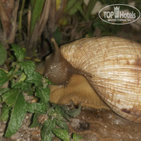 фото из отзыва ID 2167326