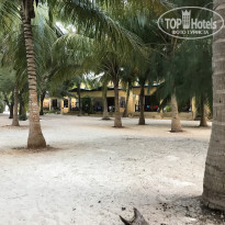 фото из отзыва ID 2167461