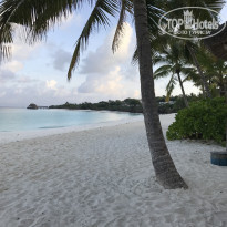 фото из отзыва ID 2167461