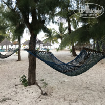 фото из отзыва ID 2167461