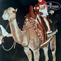 фото из отзыва ID 2167427