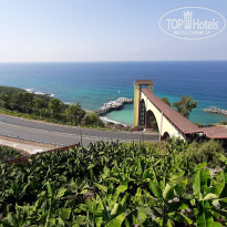 фото из отзыва ID 2167479