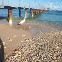 фото из отзыва ID 2167502