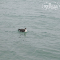 фото из отзыва ID 2167531