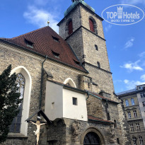 фото из отзыва ID 2167556