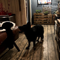 фото из отзыва ID 2167556