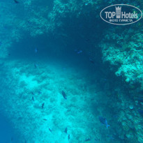 фото из отзыва ID 2167682