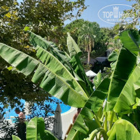 фото из отзыва ID 2167686