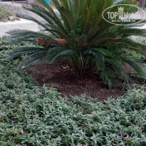 фото из отзыва ID 2167686