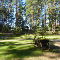 фото из отзыва ID 2167705