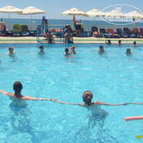 фото из отзыва ID 2167721