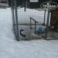 фото из отзыва ID 2167752