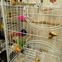 фото из отзыва ID 2167752