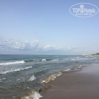 фото из отзыва ID 2167761