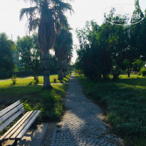 фото из отзыва ID 2167761