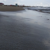 фото из отзыва ID 2167693