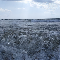 фото из отзыва ID 2167693