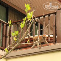 фото из отзыва ID 2167839