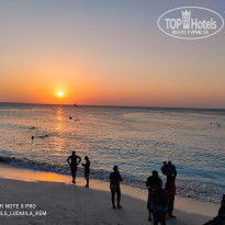 фото из отзыва ID 2166884