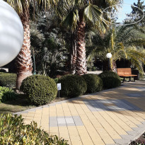 фото из отзыва ID 2167818